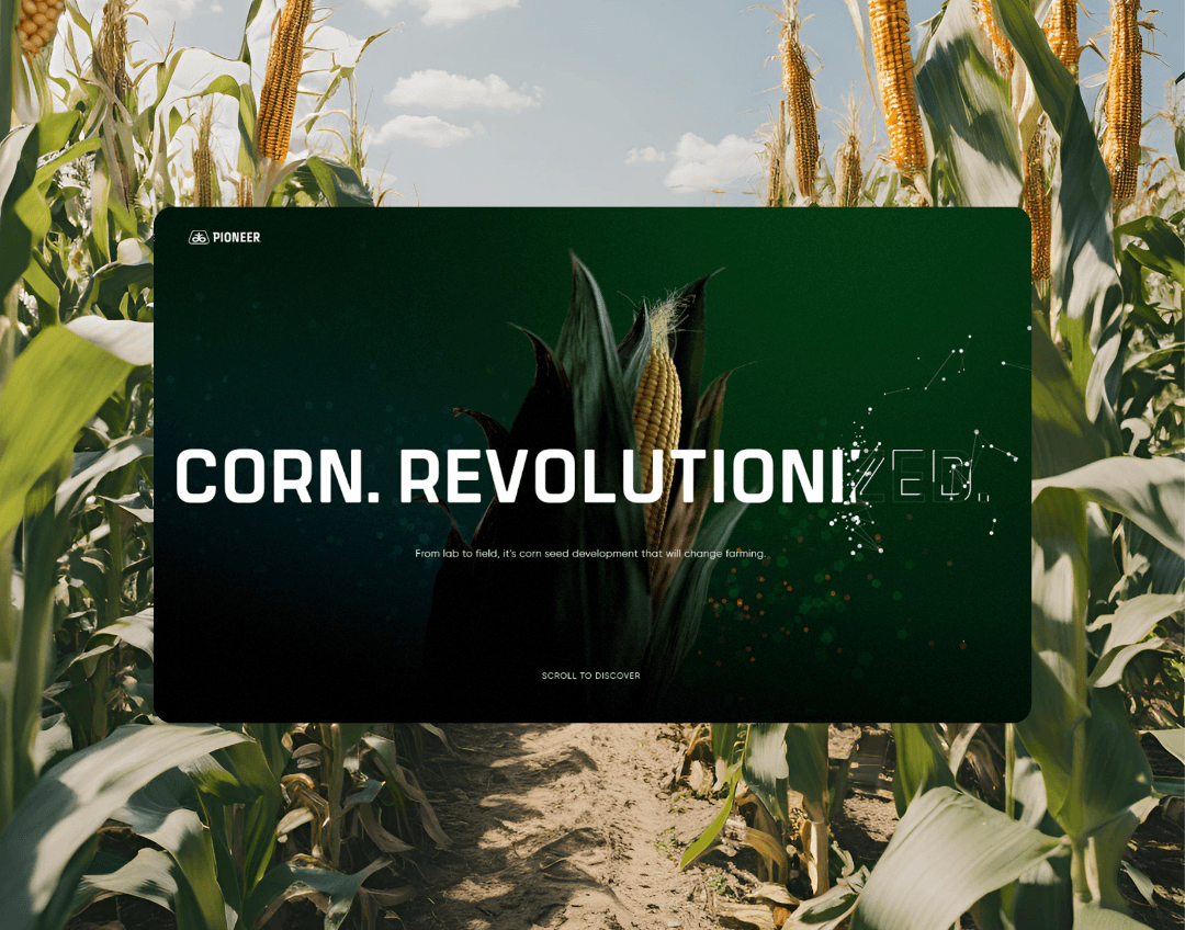 Pioneer